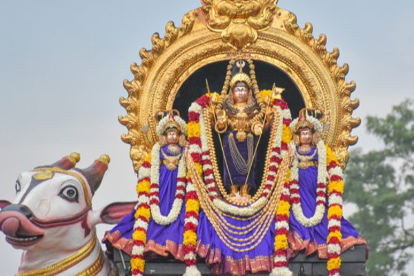 நல்லூர் கந்தசுவாமி ஆலயத்தில் வெகுவிமரிசையாக இடம்பெற்ற மார்கழி திருவாதிரை உற்சவம்(Photos) | Margazhi Thiruvadhirai Utsavam Nallur