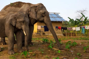 வீட்டின் முன் நின்றுக்கொண்டிருந்த குடும்பபெண்ணுக்கு நேர்ந்த அசம்பாவிதம்
