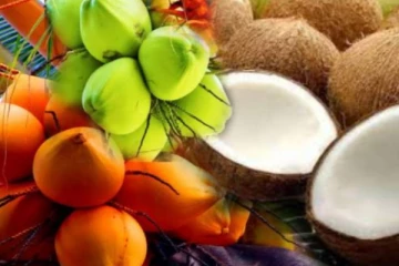 நாட்டு மக்களுக்கு மகிழ்ச்சி தகவல் ; தேங்காய் பிரச்சினைக்கு தீர்வு