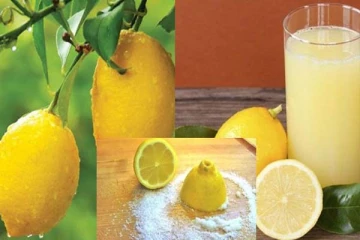 சுடு தண்ணீரில் எலுமிச்சைச் சாறுடன் உப்பு கலந்து குடிங்க! ஏகப்பட்ட அதிசயத்தை கண்கூடாக காணலாம்