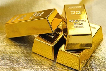 பல கோடி பெறுமதியான தங்கப்பாளங்களுடன் இலங்கையர் ஒருவர் கைது