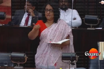 කෝ විශ්වාසභංගේ? මම දුවන් ආවේ එකට මූණ දෙන්න - ජනාධිපති අයින් කරගන්න බැරිවුණා දැන් මාව