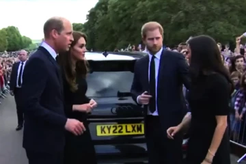 மேகன் மார்க்கலை பார்வையால் தாக்கும் கேட்! உடல்மொழியை எடைபோட்ட வல்லுநர்கள்