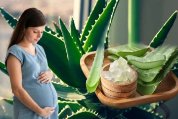 கற்றாழை பல நன்மைகளை தந்தாலும் அதில் இருக்கும் தீமைகள் பற்றி தெரியுமா?