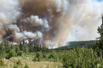 பிரிட்டிஷ் கொலம்பியாவில் காட்டுத் தீ ஆபத்து குறித்து எச்சரிக்கை