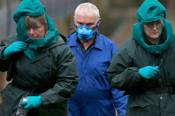 பிரித்தானியாவில் ஏற்பட்டுள்ள மற்றுமொரு அச்சுறுத்தல்! | Contagious Bird Flu In A Village In Britain