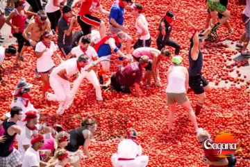 අපිට මෙහෙ කන්නවත් තක්කාලි නැතුව ඉද්දි තක්කාලි ටොන් 120කින් කරලා තියෙන දේ