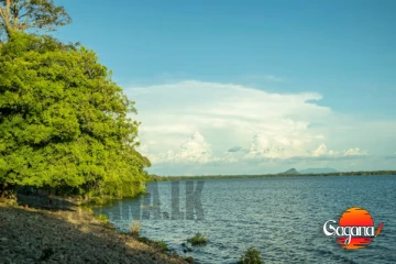 දේශපාලකයන්ගේ තවත් මගඩියක් හෙළි වෙයි..වැව රක්ෂිත වලත් හෝටල් හදලා