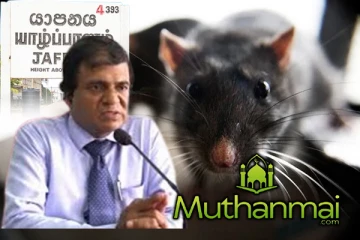 யாழில் தீவிரமடையும் எலிக்காய்ச்சல் : இதுவரை 7 உயிரிழப்புக்கள்