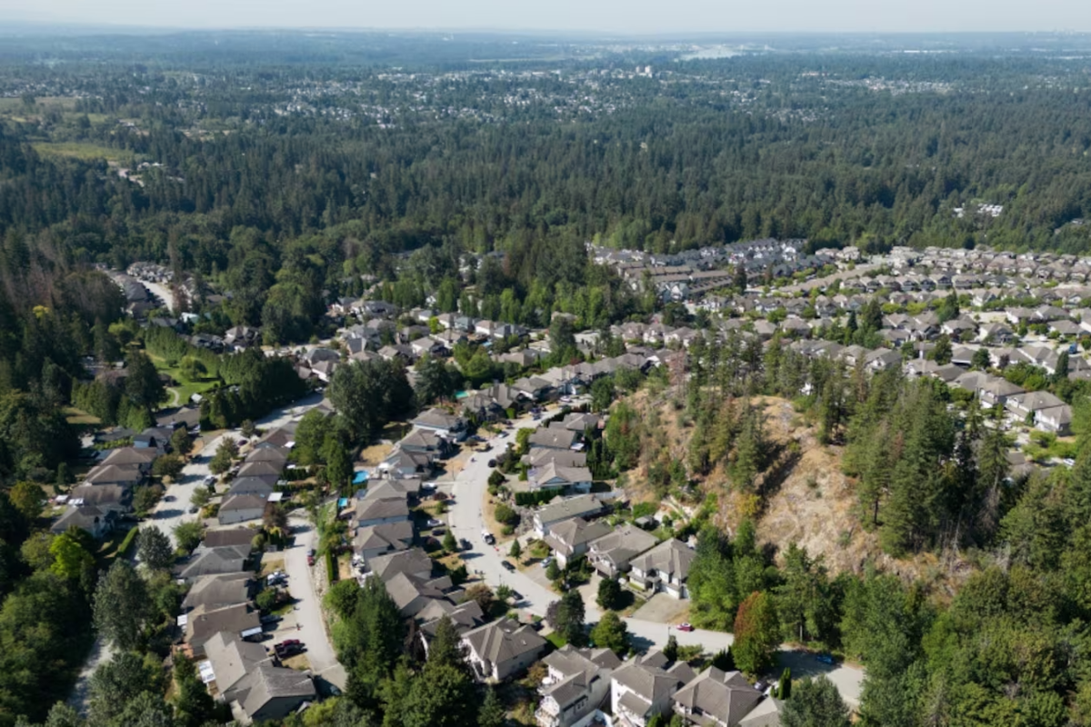 கனடாவில் நாய்களை காப்பற்ற முயற்சித்த நபர் பரிதாப மரணம் | Man Struck And Killed Trying To Corral Dogs On Bc