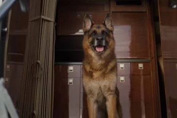 பல்லாயிரம் கோடி சொத்து வைத்திருக்கும் அதிசய நாய்! வியப்பில் மக்கள்