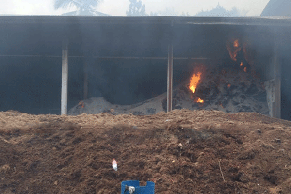 நார் தொழிற்சாலையில் தீ பரவல் ; பல கோடி ரூபா நஷ்டம் | Fire Spread In Fiber Factory Loss Crores Of Rupees