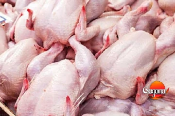 ආයේ කුකුල් මස් කන්නේ බලාගෙන - ජාවරමක සුල මුල හෙළි වේ