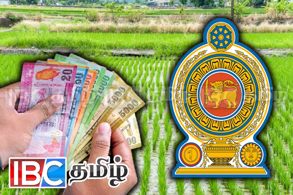 பாதிக்கப்பட்ட விவசாயிகளுக்கு நட்டஈடு - நாடாளுமன்ற உறுப்பினர் பணிப்புரை | Compensation For Farmers Affected By Disasters பாதிக்கப்பட்ட விவசாயிகளுக்கு நட்டஈடு - நாடாளுமன்ற உறுப்பினர் பணிப்புரை | Compensation For Farmers Affected By Disasters