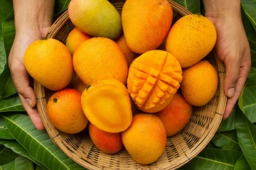 மாம்பழத்தை யாரெல்லாம் சாப்பிடக்கூடாது தெரியுமா?