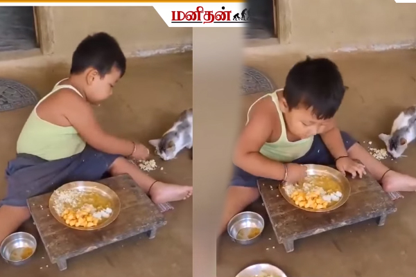 Viral Video: இந்த சின்ன வயசுல எவ்வளவு பெரிய மனசுனு பாருங்க... | Small Boy Food Share Cat After Eating