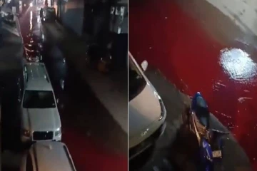 தெருவில் ஓடிய ரத்த ஆறு.. கடும் துர்நாற்றம்.. பீதியடைந்த பொதுமக்கள் - என்ன நடந்தது?