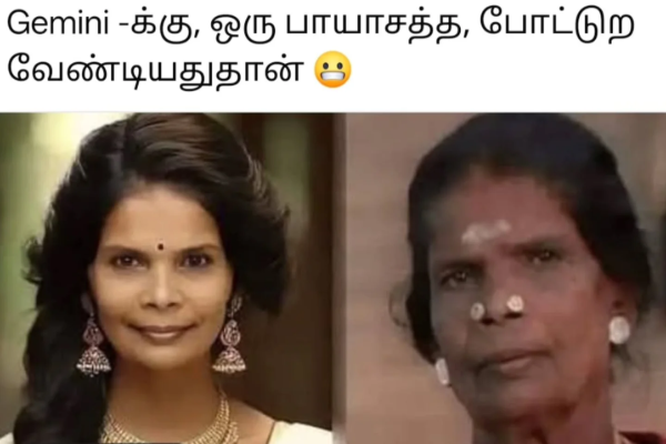 நெஞ்சு துடிக்குது ஜெமினி ஜெமினி!! AI புகைப்படங்களை கதறவிடும் நெட்டிசன்ஸ்.. | Tamil Gemini Ai Memes Social Media Trending Edit