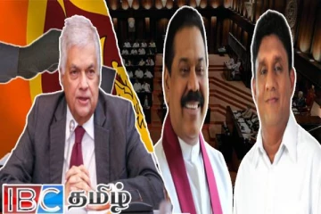 ஜனாதிபதித் தேர்தலில் ரணிலுக்கு ஆதரவளித்த எம்.பிக்கள் ....பொதுத் தேர்தலில் இரண்டாக பிளவு