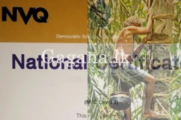 මින්පසු ගස් නගින අයටත් NVQ 3 සහතිකයක් - වැඩි විස්තර මෙන්න.