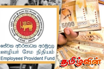 EPF பணத்தை ஓய்வூதியமாக பெறும் புதிய திட்டம்: வெளியாகியுள்ள தகவல்