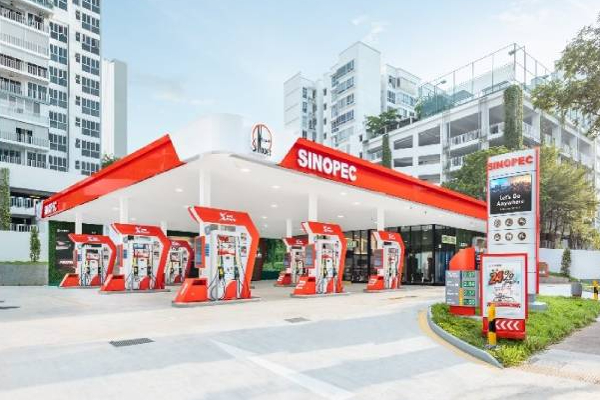 இலங்கையில் கால்பதிக்கும் சீன நிறுவனம் | A Chinese Company Operating In Sri Lanka