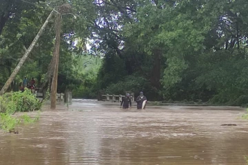 வெள்ளத்தில் மூழ்கிய நெடுங்கேணி நகரம்(Photos)