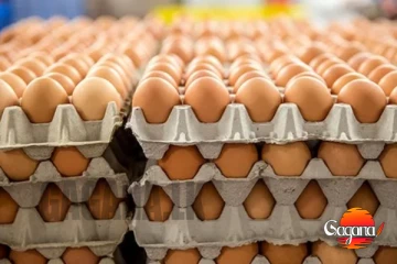 බිත්තර මිල එකපාරටම වෙනස් වෙයි?