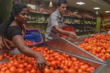 மீண்டும் தக்காளி விலை உயர்வு - இல்லத்தரசிகள் வேதனை..!