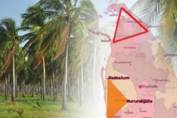 இரண்டாவது தென்னை முக்கோண வலய நடவடிக்கைகள் மன்னாரில் ஆரம்பம் (படங்கள் )