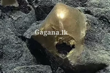 සියල්ලන් මවිතයට පත් කරමින්, සාගර පත්ලෙන් හමු වූ අදහාගත නොහැකි රන් බිත්තරය.. (VIDEO)