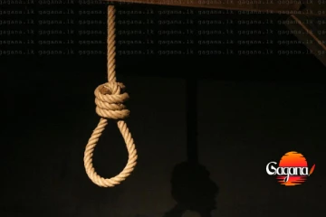 පොල් ගෙඩි දෙකක් සොරකම මරණීය දණ්ඩනයෙන් අවසන් වේ