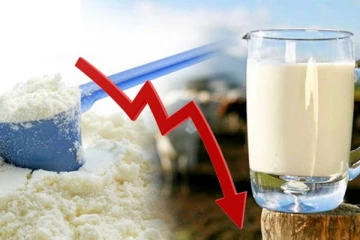 பால்மா விலை குறைப்பு தொடர்பான அறிவிப்பு