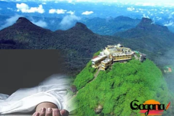 රටම කම්පාකළ සිරිපා කරුණාව