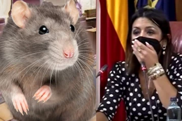 நாடாளுமன்றத்தில் புகுந்த எலி! தெறித்து ஓடிய எம்.பிக்கள்: வைரலாகும் வீடியோ