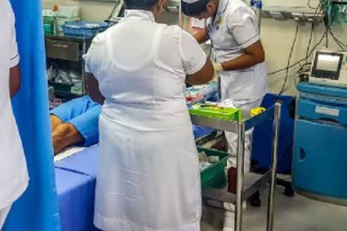 கந்தளாய் – சூரியபுர பகுதியில் எட்டு பாடசாலை சிறுவர்கள் வைத்தியசாலையில் அனுமதி! | 8 Children Admitted To Hospital Castor Seeds
