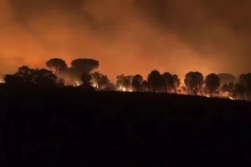 பிரான்சில் பயங்கரமாக பரவும் காட்டுத்தீ... ஆயிரக்கணக்கானோர் வெளியேற்றம்