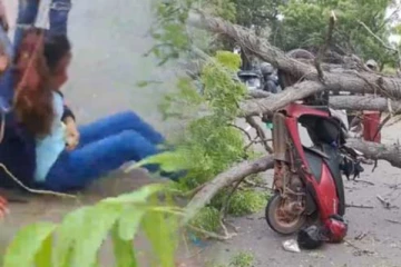 மோட்டார்சைக்கிளில் பயணித்த யுவதிகள் மீது விழுந்த மரம்