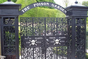இந்த செடிகளை தொட்டால் மரணம் நிச்சயம்! இங்கிலாந்தில் உயிரைப் பறிக்கும் விஷத் தோட்டம்