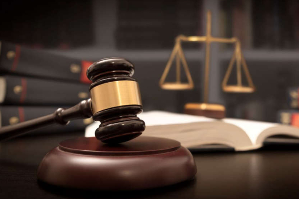 வளர்ப்பு நாயால் கோடிக்கணக்கில் இழப்பை சந்தித்த சுவிஸ் நாட்டவர் | Swiss Man Fined For His Dog Bike Delivery Agent