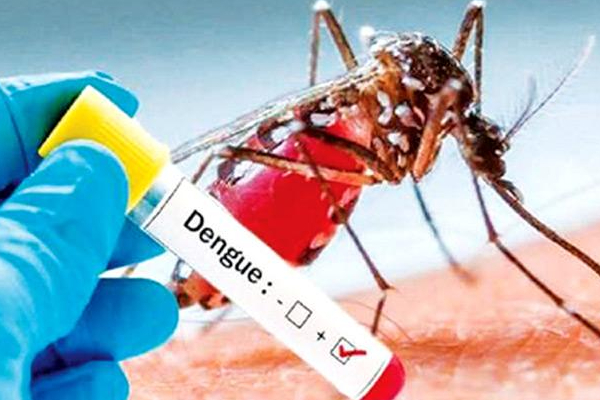 அதிகரிக்கும் டெங்கு நோயாளர்களின் எண்ணிக்கை! | Dengue Fever Person Increase In Sri Lanka
