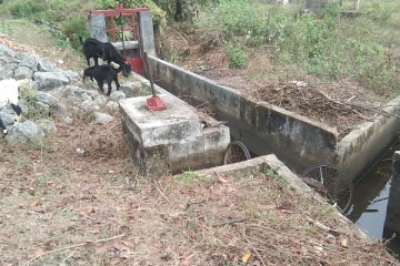 நீர்ப்பாசன வாய்க்காலிலிருந்து ஆண் ஒருவரின் சடலம் மீட்பு