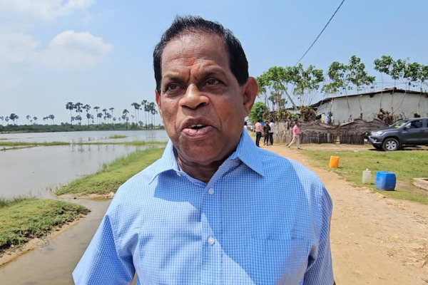 அல்லைப்பிட்டி துப்பாக்கி சூடு; சட்டப்படி என்ன நடவடிக்கை | Allaipitiya Shooting What Legal Action Should