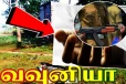 வவுனியாவில் கோர விபத்து - காவல்துறை சார்ஜன்ட் பரிதாபமாக பலி