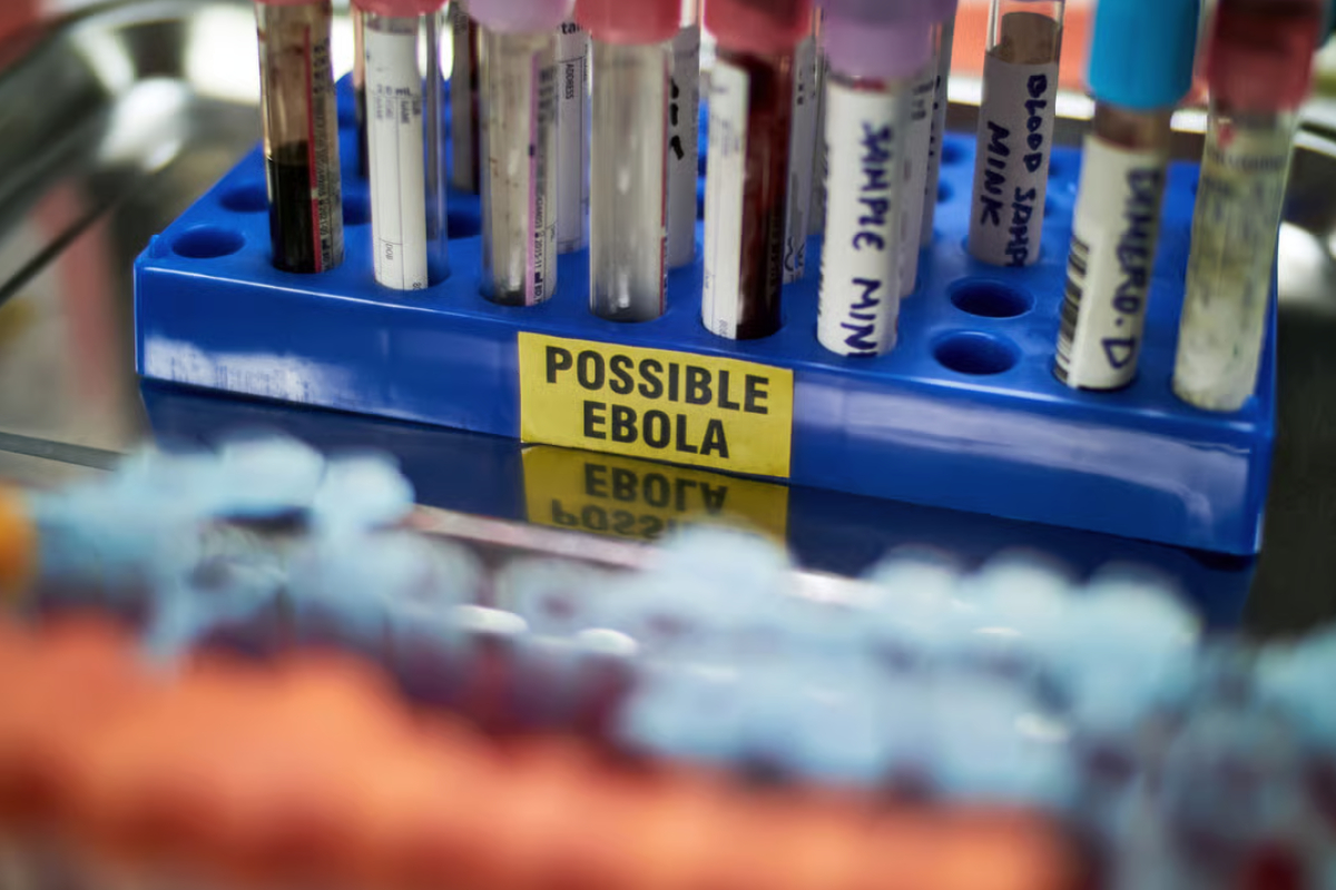எபோலா அச்சுறுத்தல்: கொங்கோ - ருவாண்டா எல்லை மூடல் | Ebola Threat Congo Rwanda Border Closure எபோலா அச்சுறுத்தல்: கொங்கோ - ருவாண்டா எல்லை மூடல் | Ebola Threat Congo Rwanda Border Closure