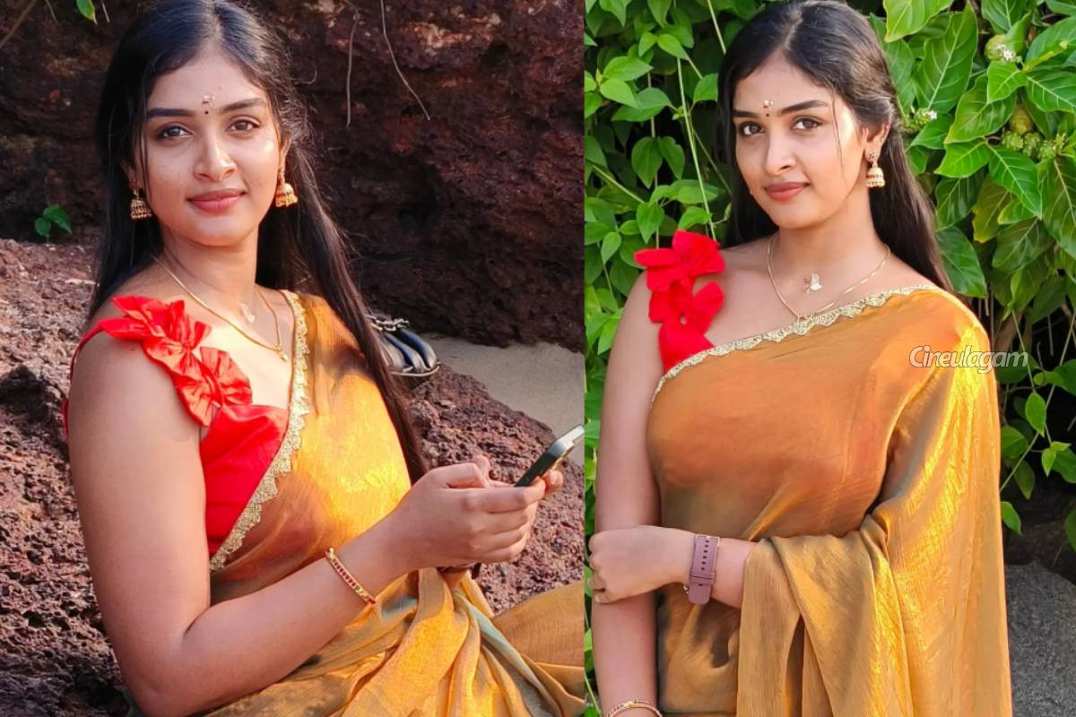 வினோதினி சீரியல் முடிவடைந்த நிலையில் புதிய தொடரில் கமிட்டாகியுள்ள ஆர்த்திகா... சன் டிவி தொடர் | Vinothini Fame Arthika New Serial In Sun Tv