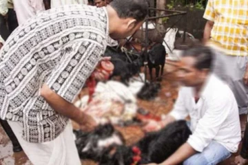 ஆடு என்று நினைத்து ஆளை வெட்டிய குடிகார ஆசாமி - பலி பீடத்தில் நடந்த விபரீத சம்பவம்