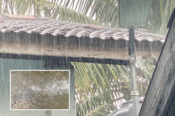 மட்டக்களப்பிற்கு விடுக்கப்பட்ட கனமழை எச்சரிக்கை: விவசாயிகள் கடும் பாதிப்பு | Heavy Rain Warning For Batticaloa Sri Lanka