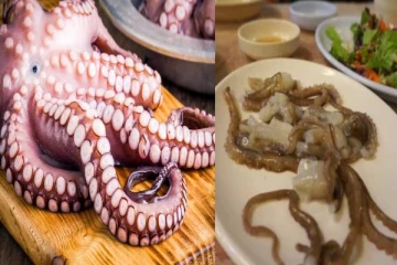 துடிதுடிக்க உயிரைப் பறித்த ஆக்டோபஸ் - இந்த உணவை சாப்பிடுறதுக்கு முன்னாடி கவனம்!