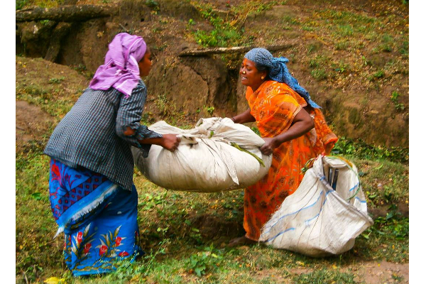 பட்டினி சாவு நடக்க முன் நடவடிக்கை எடுங்கள்! - நாடாளுமன்றில் மனோ பிரேரணை | Starvation Motion In Parliament Economic Crisis